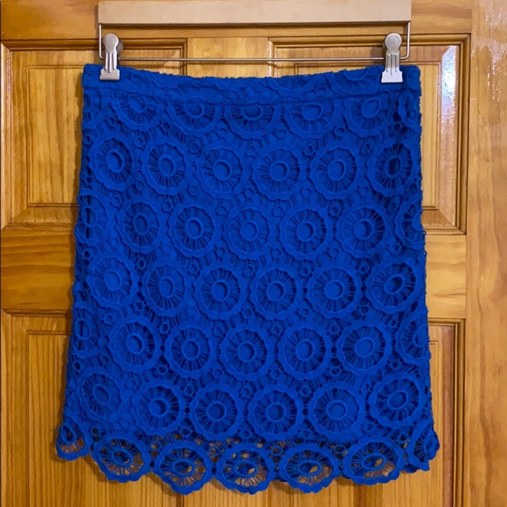 BROOKLYN INDUSTRIES Blue Skirt